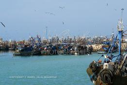 Image du Maroc Professionnelle de  Quelques  bateaux de pêches sont accostés dans le port de Laayoune capitale du Sahara marocain, Samedi 18 Novembre 2006. (Photo / Abdeljalil Bounhar)
 